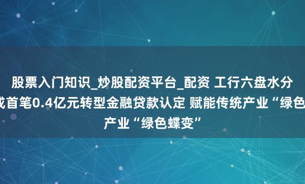 股票入门知识_炒股配资平台_配资 工行六盘水分行完成首笔0.4亿元转型金融贷款认定 赋能传统产业“绿色蝶变”