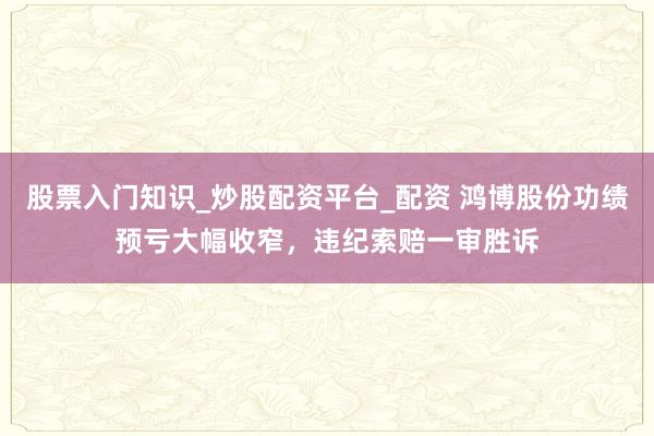股票入门知识_炒股配资平台_配资 鸿博股份功绩预亏大幅收窄，违纪索赔一审胜诉