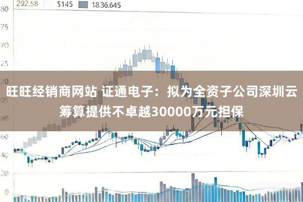 旺旺经销商网站 证通电子：拟为全资子公司深圳云筹算提供不卓越30000万元担保