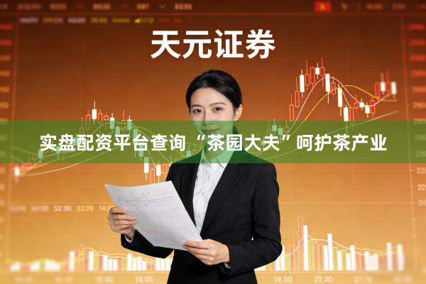 实盘配资平台查询 “茶园大夫”呵护茶产业