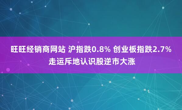 旺旺经销商网站 沪指跌0.8% 创业板指跌2.7% 走运斥地认识股逆市大涨