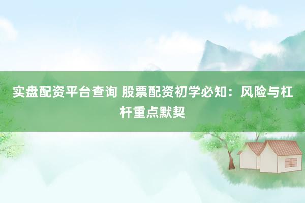实盘配资平台查询 股票配资初学必知：风险与杠杆重点默契
